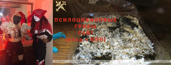 PSILOCYBIN Вязьма
