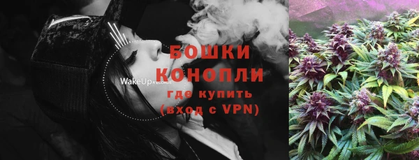 PSILOCYBIN Вязьма