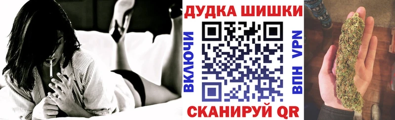 KRAKEN как войти  Злынка  Канабис White Widow  даркнет сайт 